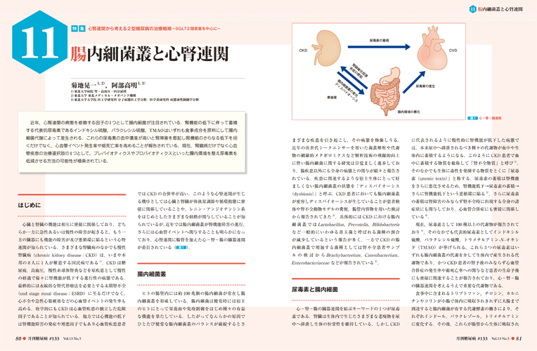 月刊糖尿病　野出孝一　Vol.5No.11(2013　特集:糖尿病における心腎連関